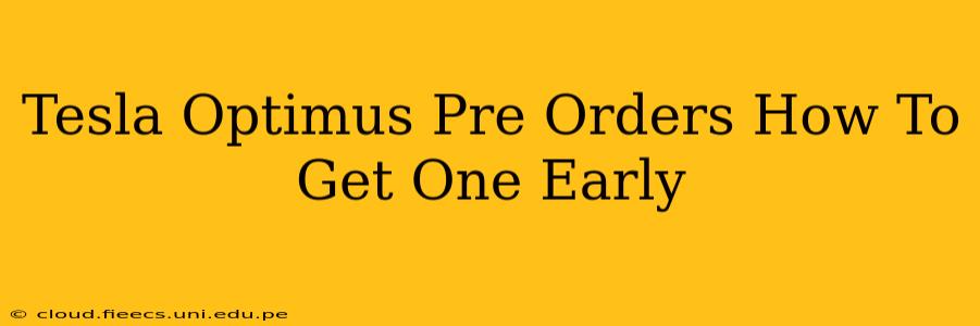 Tesla Optimus Pre Orders How To Get One Early