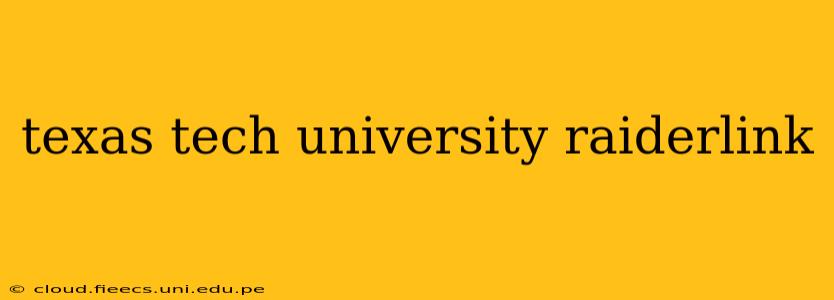 texas tech university raiderlink