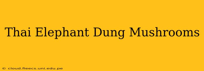 Thai Elephant Dung Mushrooms