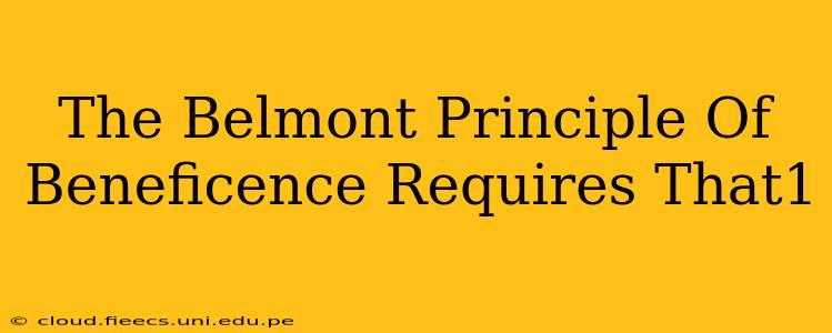 The Belmont Principle Of Beneficence Requires That1