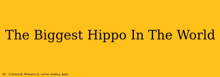 The Biggest Hippo In The World