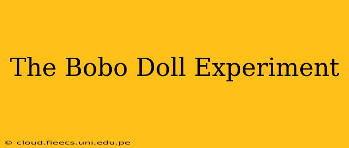 The Bobo Doll Experiment