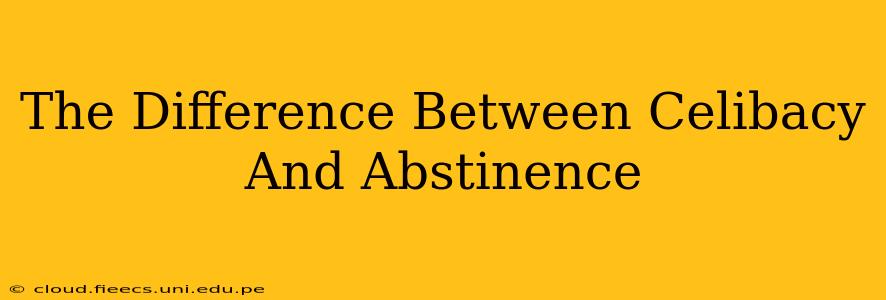The Difference Between Celibacy And Abstinence