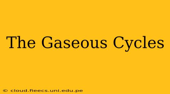 The Gaseous Cycles