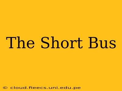 The Short Bus