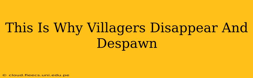This Is Why Villagers Disappear And Despawn