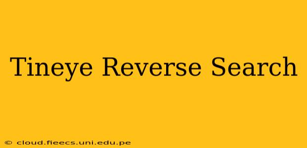 Tineye Reverse Search