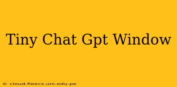 Tiny Chat Gpt Window