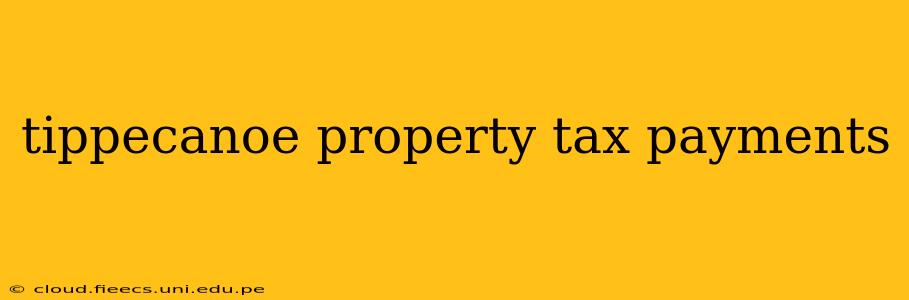 tippecanoe property tax payments