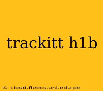 trackitt h1b