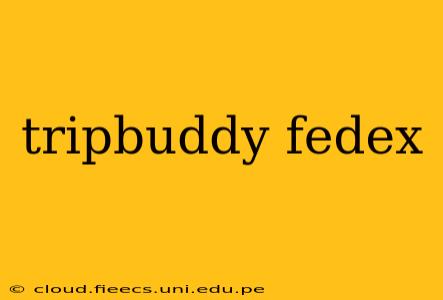 tripbuddy fedex