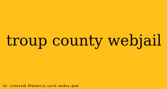 troup county webjail