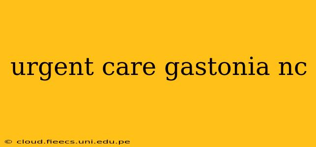 urgent care gastonia nc