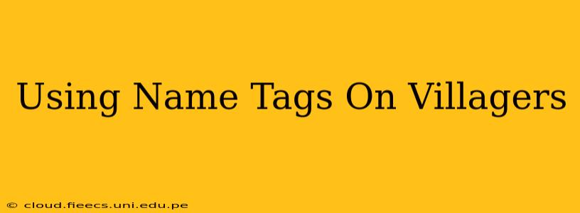 Using Name Tags On Villagers
