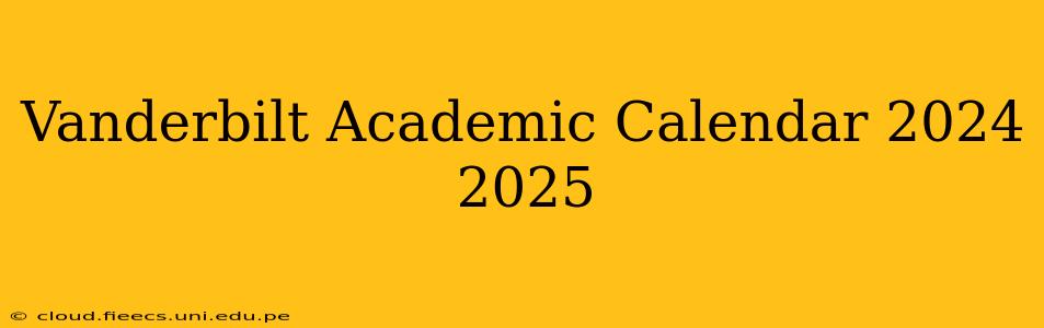 Vanderbilt Academic Calendar 2024 2025
