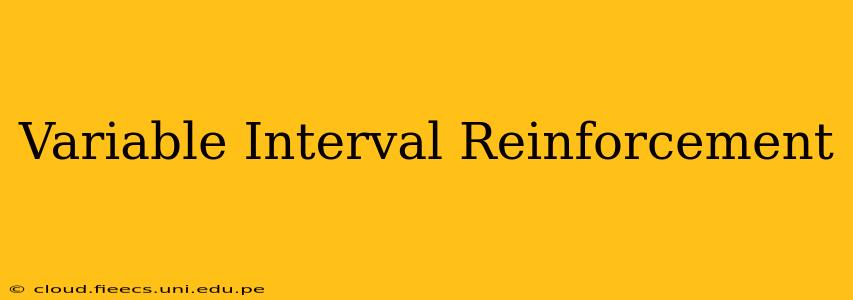 Variable Interval Reinforcement