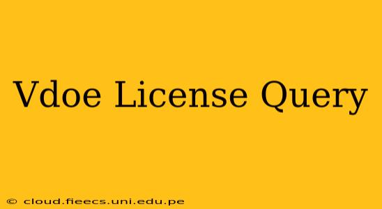 Vdoe License Query