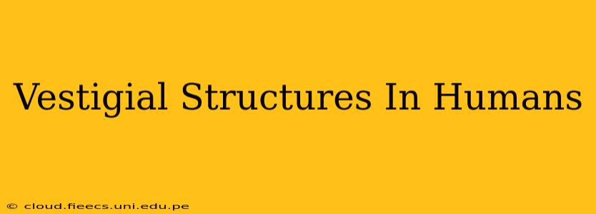 Vestigial Structures In Humans