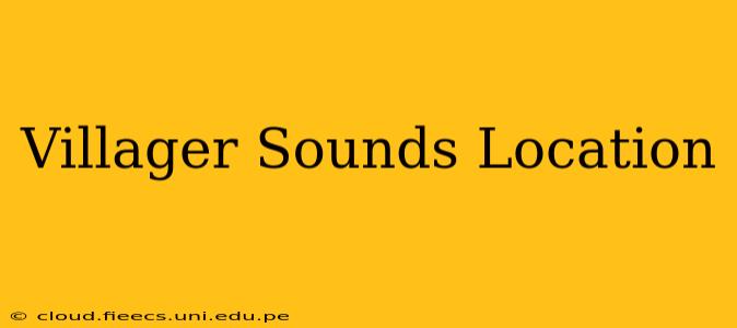 Villager Sounds Location
