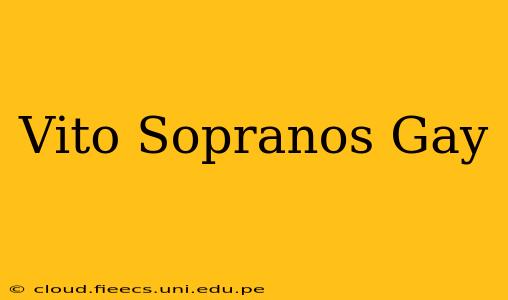 Vito Sopranos Gay
