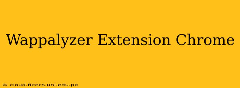 Wappalyzer Extension Chrome