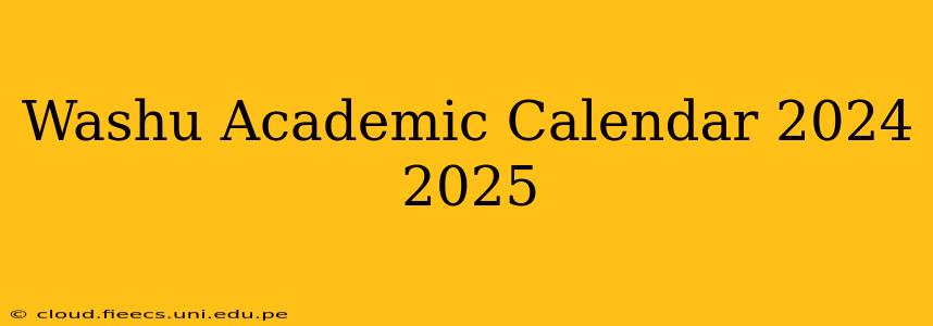 Washu Academic Calendar 2024 2025