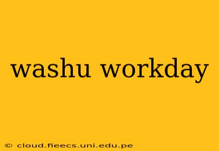 washu workday