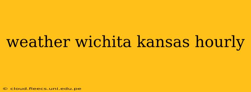 weather wichita kansas hourly