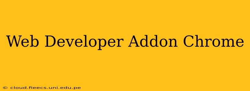 Web Developer Addon Chrome