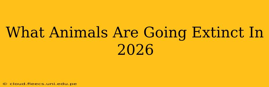What Animals Are Going Extinct In 2026
