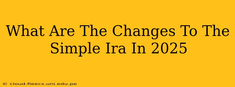 What Are The Changes To The Simple Ira In 2025