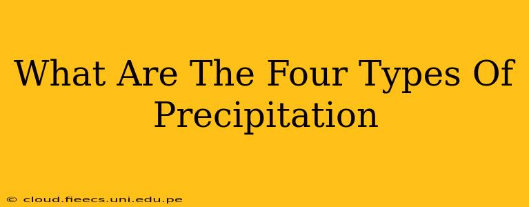 What Are The Four Types Of Precipitation
