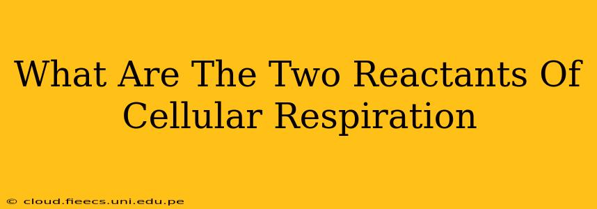 What Are The Two Reactants Of Cellular Respiration