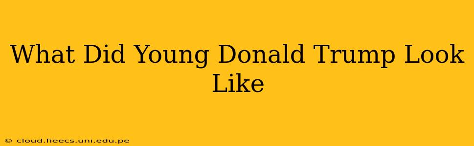What Did Young Donald Trump Look Like