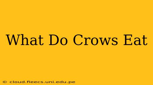 What Do Crows Eat
