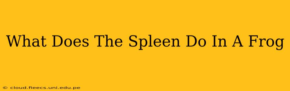 What Does The Spleen Do In A Frog