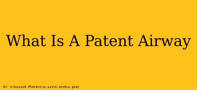 What Is A Patent Airway