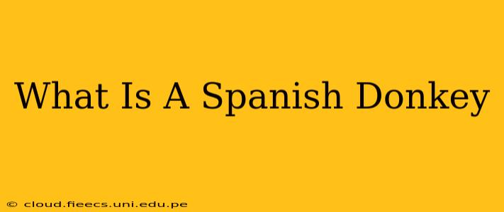 What Is A Spanish Donkey