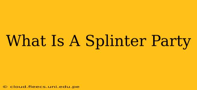 What Is A Splinter Party