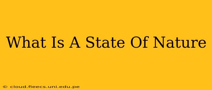 What Is A State Of Nature