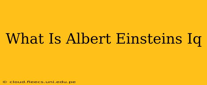 What Is Albert Einsteins Iq