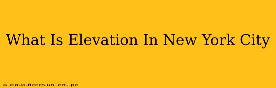 What Is Elevation In New York City