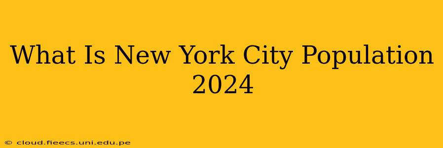 What Is New York City Population 2024