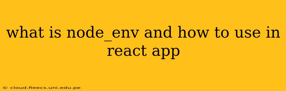 what is node_env and how to use in react app