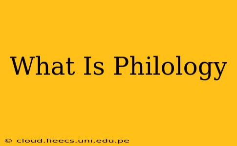 What Is Philology