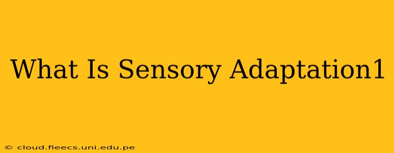 What Is Sensory Adaptation1
