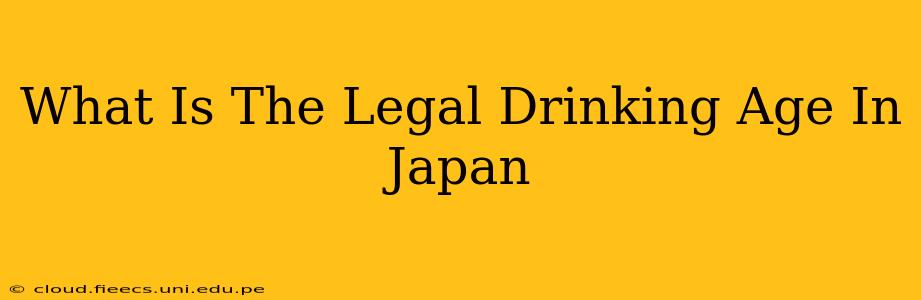 What Is The Legal Drinking Age In Japan