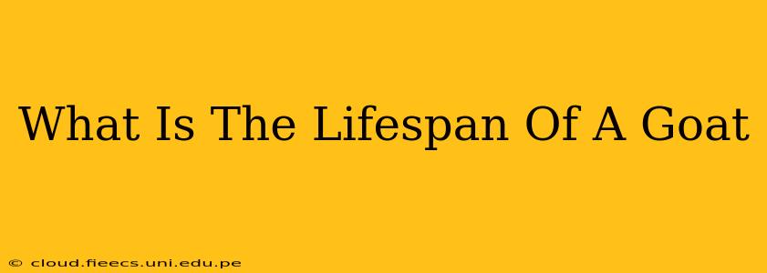 What Is The Lifespan Of A Goat