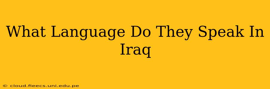 What Language Do They Speak In Iraq