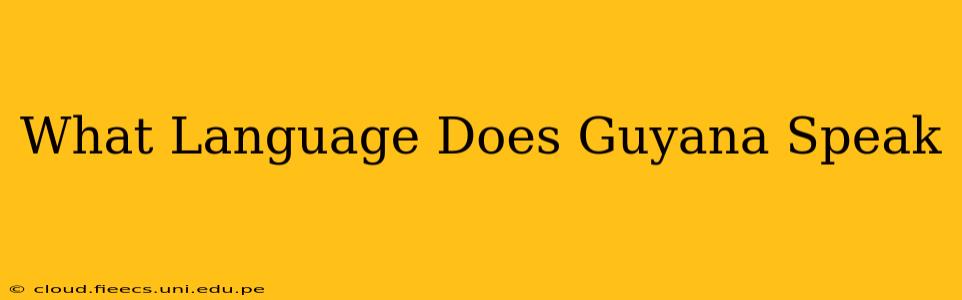 What Language Does Guyana Speak